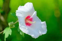 散歩の途中で。