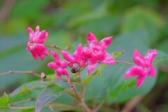 散歩の途中で。Ⅵ