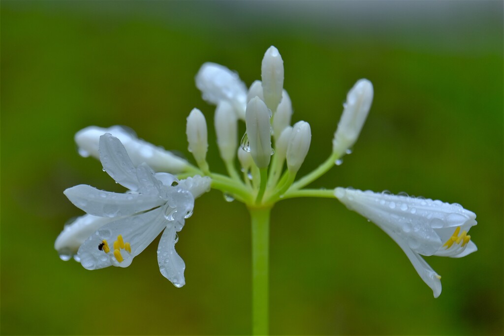 散歩の途中で。５