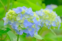 散歩の途中で。