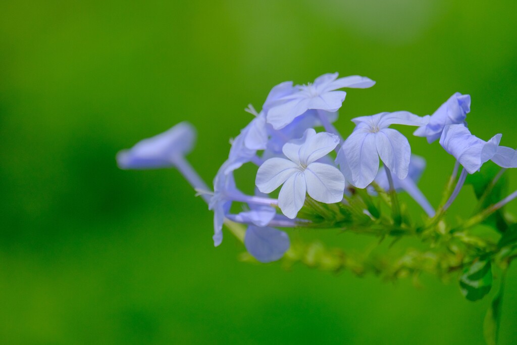 散歩の途中で。