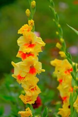 散歩の途中で。Ⅲ