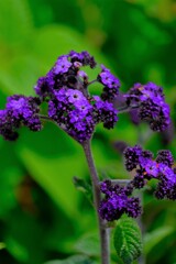 散歩の途中で。Ⅲ