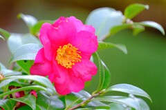 散歩の途中で。④