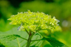 散歩の途中で。