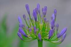 散歩の途中で。Ⅷ