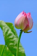 散歩の途中で。