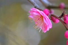 散歩の途中で。1