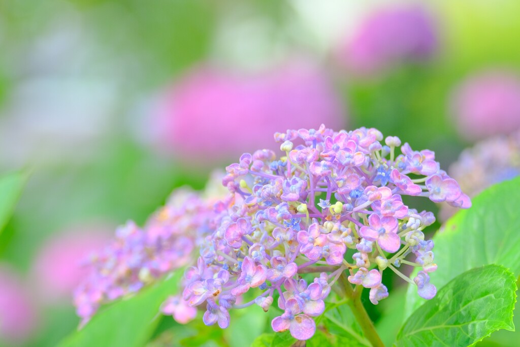 散歩の途中で。