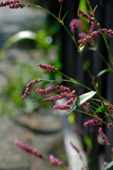 散歩の途中で。Ⅳ