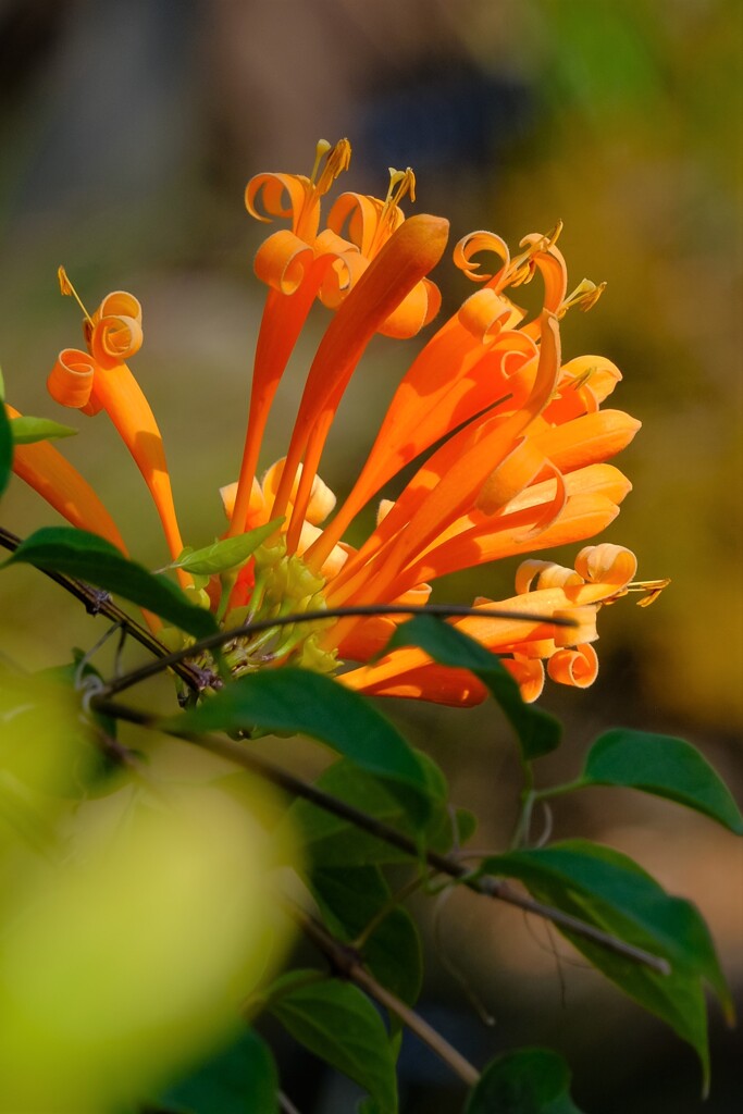 散歩の途中で。Ⅳ