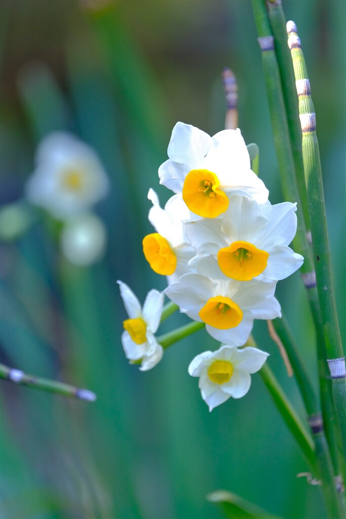 散歩の途中で、③