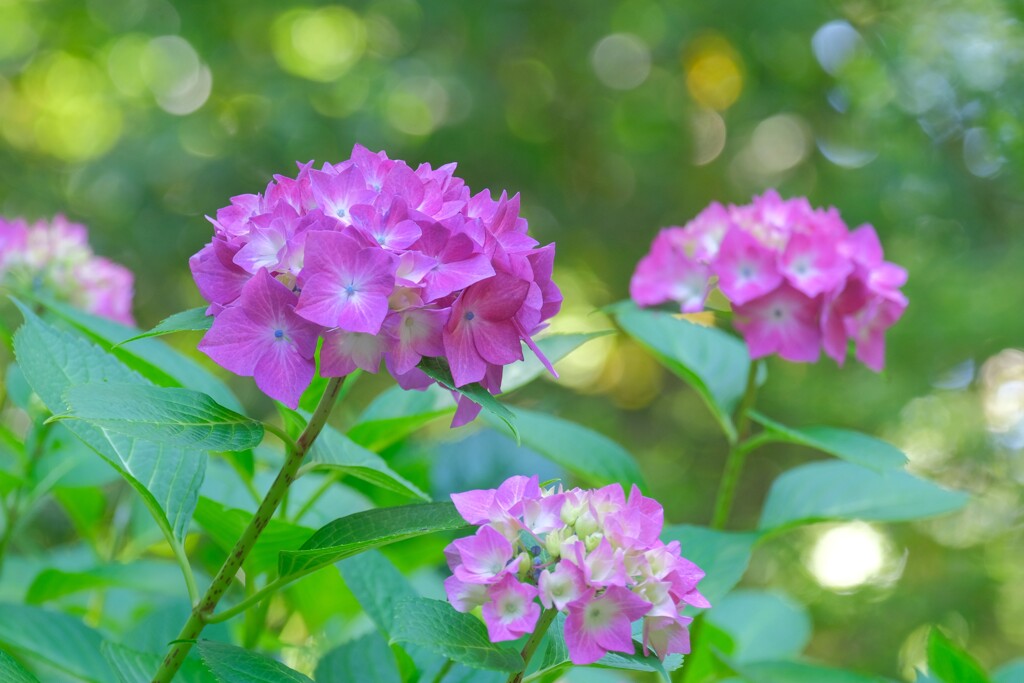 散歩の途中で。