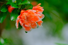 散歩の途中で。Ⅲ