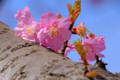 散歩の途中で。5