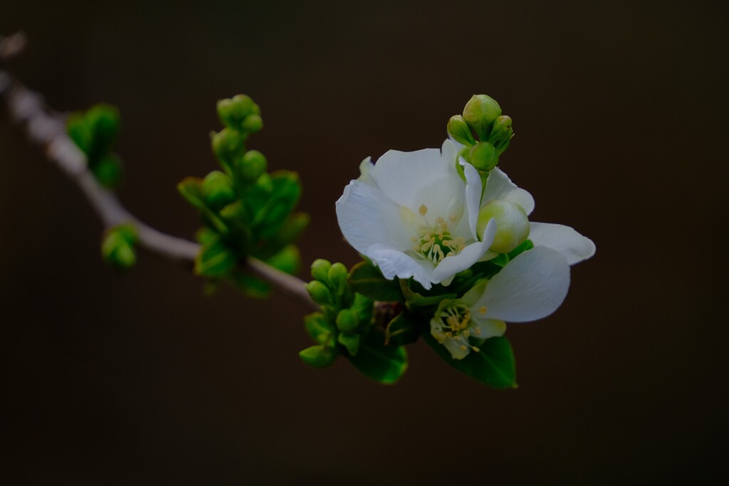 散歩の途中で。Ⅴ