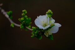 散歩の途中で。Ⅴ