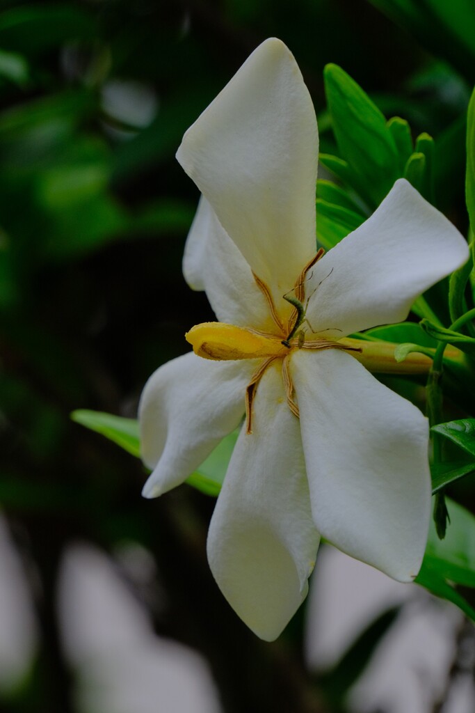 散歩の途中で。Ⅶ