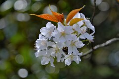 散歩の途中で。⑤