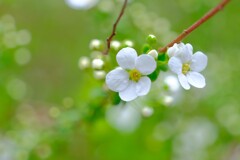 散歩の途中で。Ⅴ