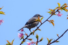 散歩の途中で。９