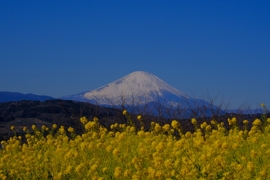 散歩の途中で。４