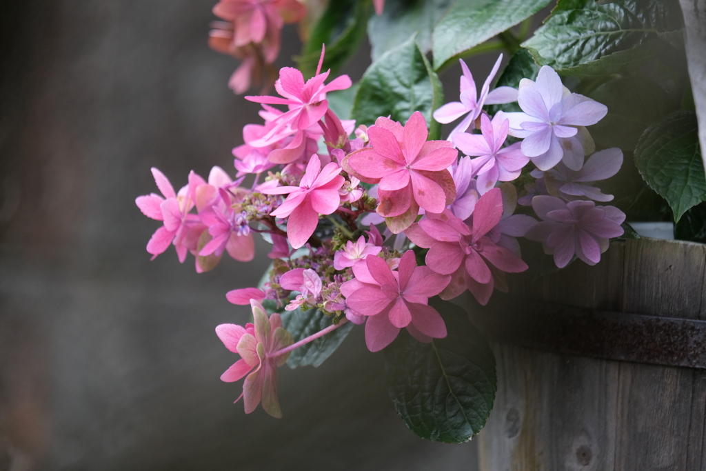 連休最終日（８）