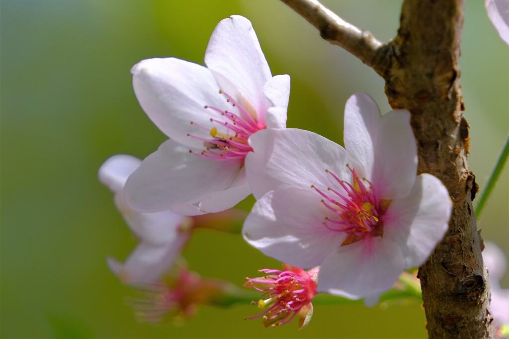 散歩の途中で。Ⅴ