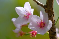 散歩の途中で。Ⅴ