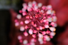 散歩の途中で。Ⅶ