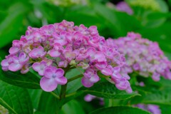 散歩の途中で。Ⅵ