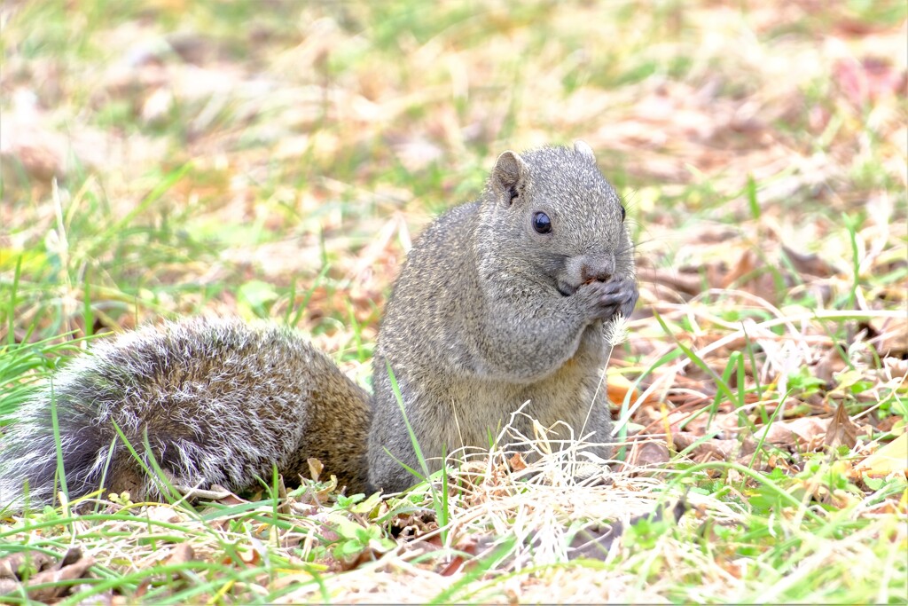 散歩の途中で。Ⅴ