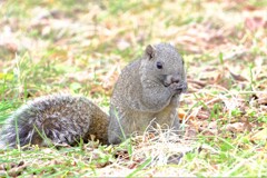 散歩の途中で。Ⅴ