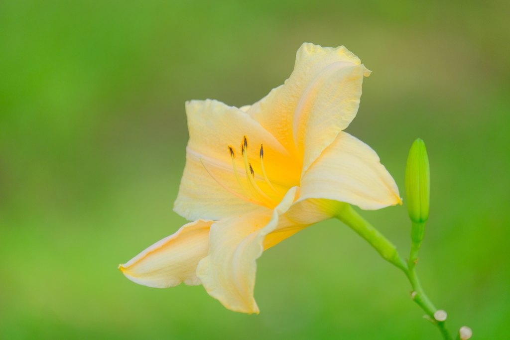 散歩の途中で。