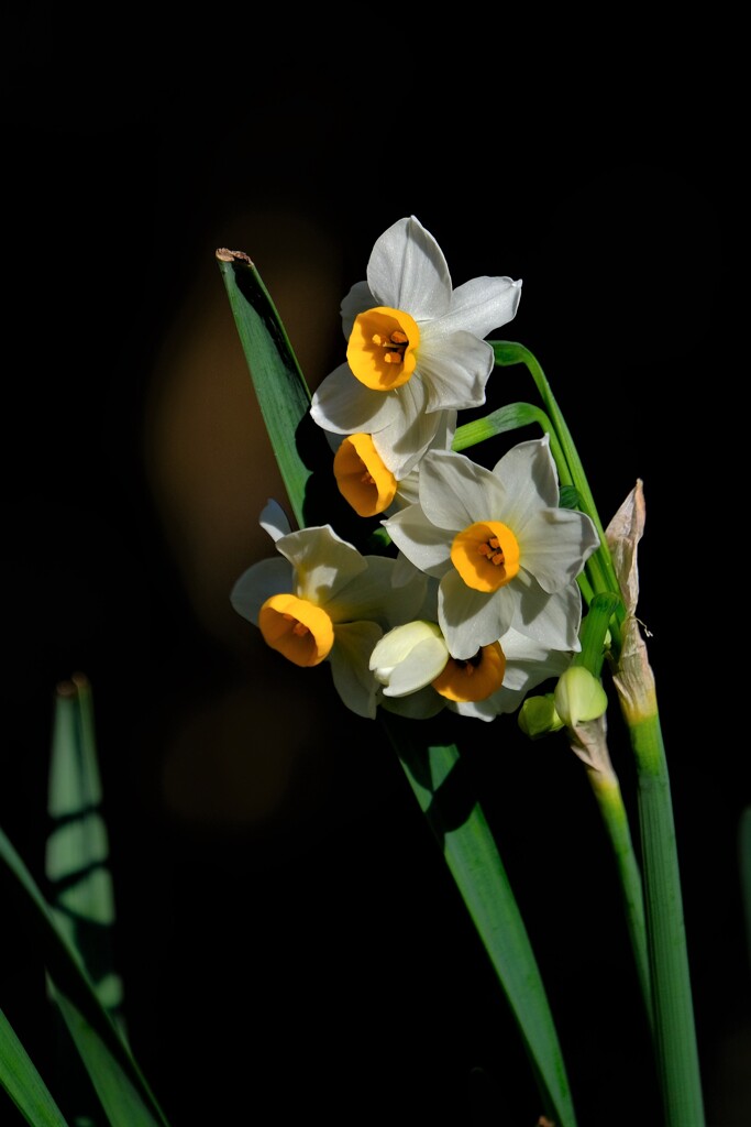 散歩の途中で。①
