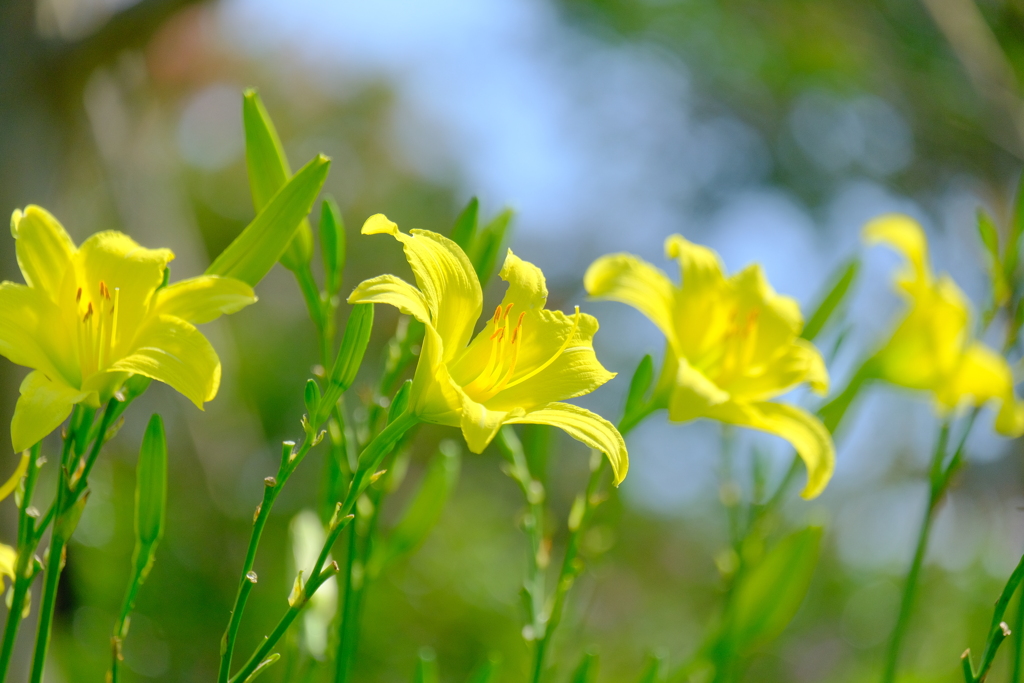 散歩の途中で。
