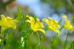 散歩の途中で。