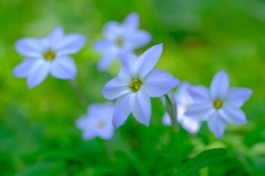 散歩の途中で。⑥