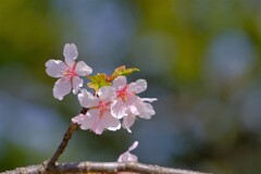 散歩の途中で。Ⅰ