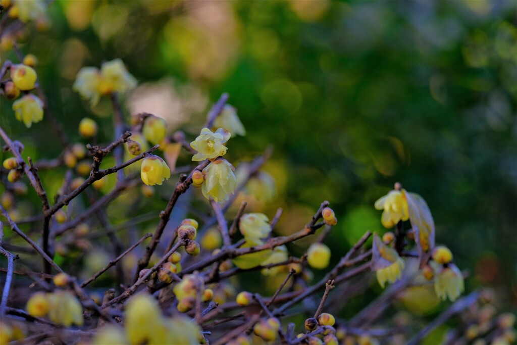 散歩の途中で。6