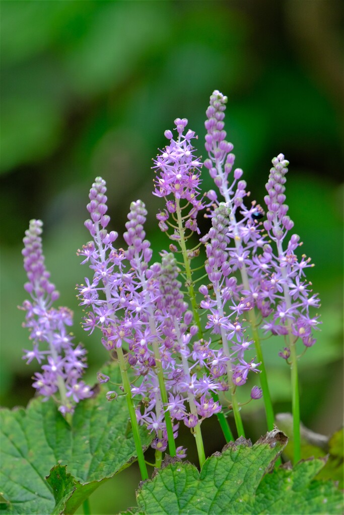 散歩の途中で。５