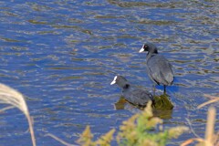 散歩の途中で。Ⅲ
