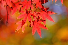 散歩の途中で。２