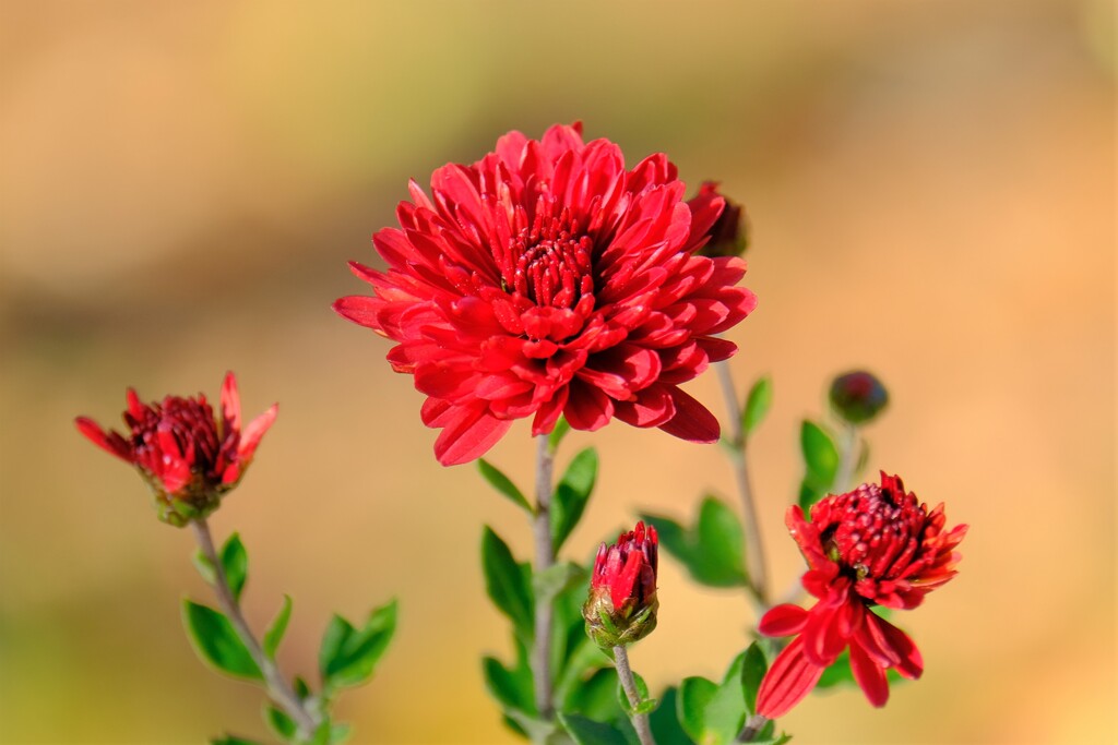 散歩の途中で。⑦