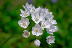 散歩の途中で。4