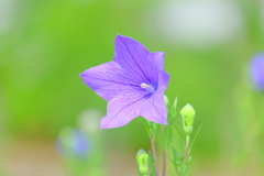 散歩の途中で。