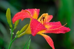 散歩の途中で。１