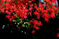 散歩の途中で。②