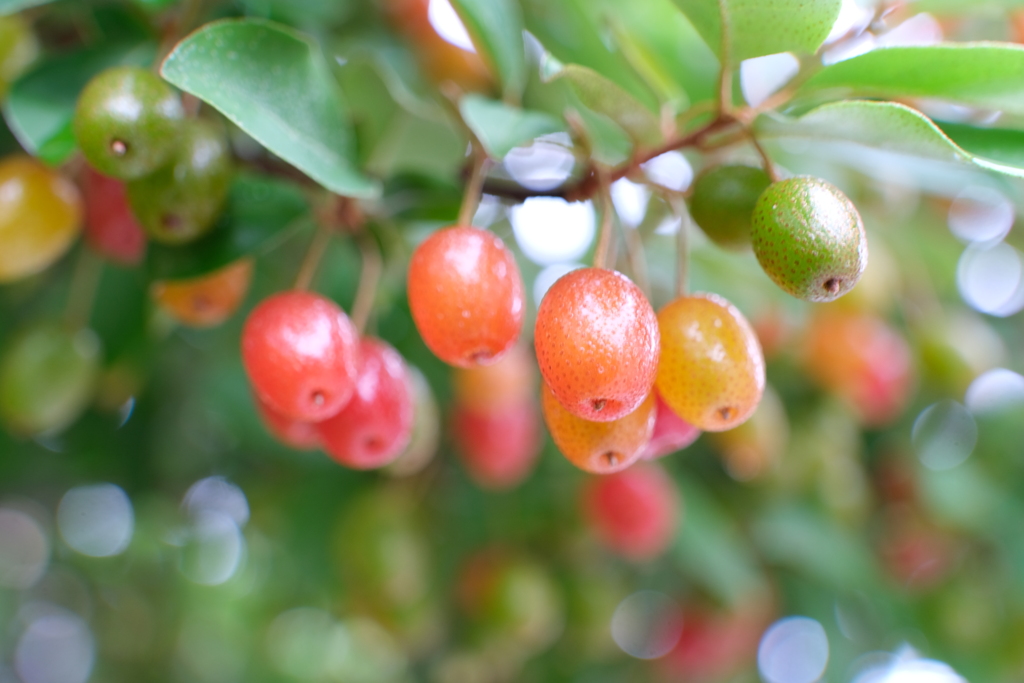 散歩の途中で。10