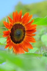 散歩の途中で。10